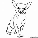 Chihuahua Coloring Pages Drawing Kids Dogs Dog Thecolor Chiweenie Color Line Getdrawings Popular Simple Cute Choose Board Template sketch template