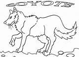 Coyote Coloring Pages Printable Kids Jackal Color Cool2bkids Getcolorings Template sketch template