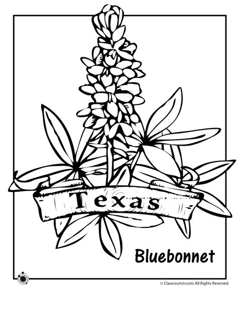 state flower coloring pages texas state flower coloring page
