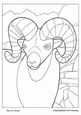 Mammals Dall Lineart sketch template