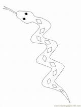 Schlangen Snake Malvorlage Cottonmouth Beste Reptilien Tiere Kategorien sketch template