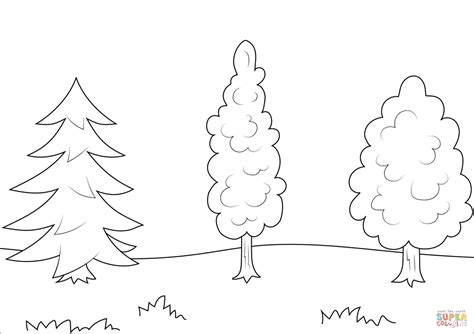 trees coloring page  printable coloring pages