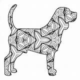 Mandala Beagle Adults Labrador Coloringbay Cottage sketch template