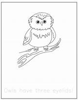 Traceable Birijus Owls sketch template