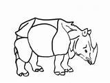 Coloring Rhinoceros Pages Artist Great Durer Them Halfahundredacrewood sketch template