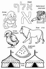Hebrew Coloring Alphabet Aleph Book Learn Pages Choose Board Learning Bet Children Amazon Lessons Abc Novice Learners sketch template