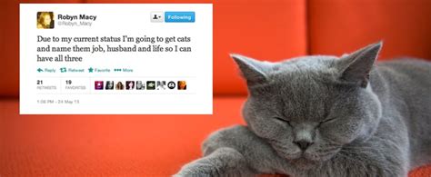 funny tweets about cats popsugar love and sex