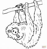 Sloth Coloring Pages Toed Two Drawing Printable Cartoon Color Sloths Template Clipart Sketch sketch template