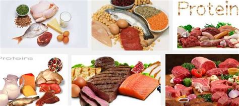 La Importancia De Las Proteinas Para Bajar Peso Dietas
