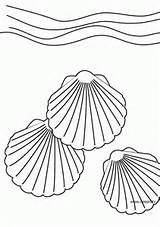 Coquillage Coloriage Muschel Seashell Dessin Ausmalbilder Coloriages Ausmalbild Shells Colorier Coloringhome Letzte sketch template