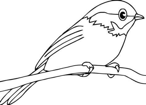 pin  birds coloring pages