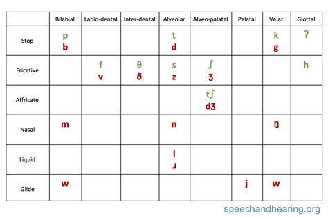 voiceless sounds  english voiced  voiceless sounds  english