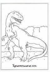 Rex Da Dinosauro Coloring Dinosaurs Colorare Dinosauri Tyrannosaurus Di Disegni Scegli Bacheca Una Animali sketch template