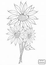 Sunflowers Coloring Drawing Pages Getdrawings Realistic sketch template