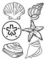 Starfish Seashells Seashore Coloring Activities Printable sketch template