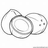Coconut Coloring Printable Getcolorings Color Getdrawings Pages sketch template