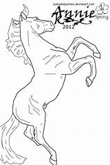 Breyer Horse Coloring Pages Horses Drawing Rearing Print Quoteko Galloping Popular Getdrawings Coloringhome sketch template