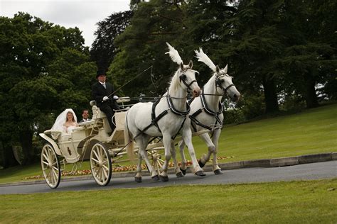 horse carriage dream irish wedding