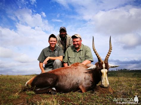 hunting  south africa  lj safaris africahuntingcom