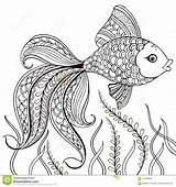 Coloring Decorative Fish Stress Anti Drawn Hand Isolated Background Fishing Preview sketch template