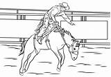 Rodeo Bronco Sella Bucking Disegno Bronc sketch template