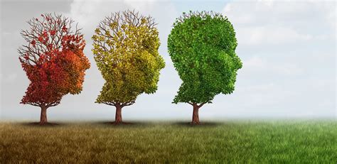 dementia care  seniors risk factors resources meetcaregivers