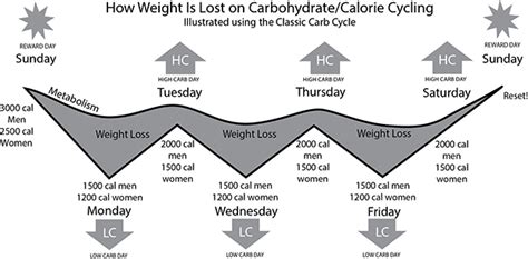 carb cycling  weight loss   work life