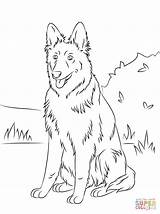 Honden Herder Duitse sketch template