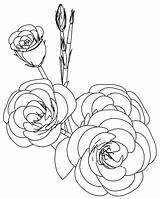 Coloring Rose Flower Wecoloringpage Pages Disney sketch template