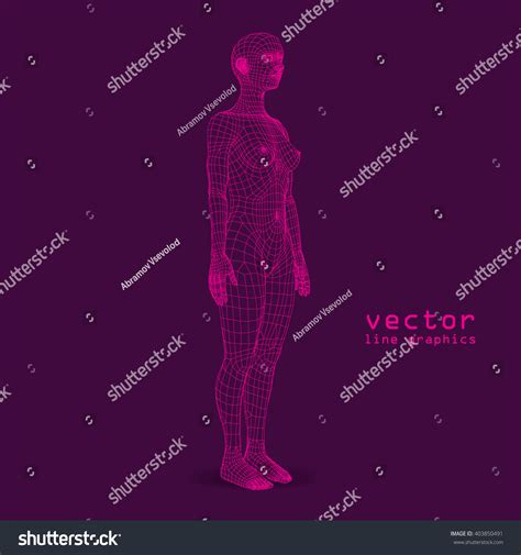 linear 3d naked girl fulllength woman stock vector royalty free