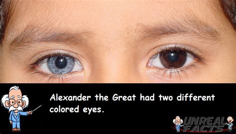 Alexander The Great Had Two Different Eye Colors Unreal Facts For