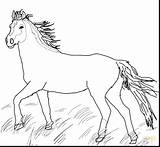 Horse Coloring Pages Mustang Wild Quarter Horses Pretty Printable Pony Cute Herd Getcolorings Color Print Realistic Running Getdrawings Colorings sketch template