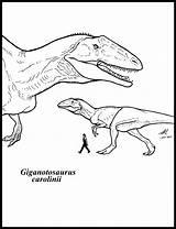 Giganotosaurus Carolinii Megalosaurus sketch template