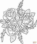 Coloring Roses Pages Bouquet Printable Drawing sketch template