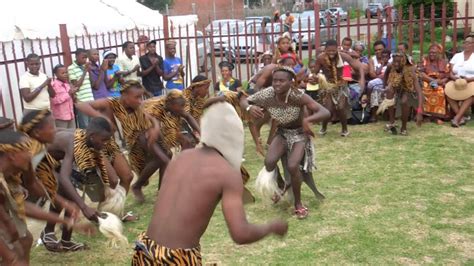 zulu dancers in traditional male clothing youtube