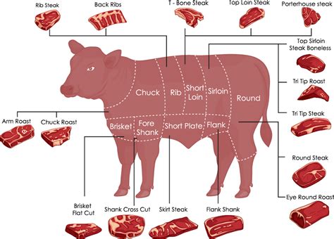 burley stick farm beef cuts  quarter beef cuts list  pricing