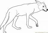 Coyote Coloring California Valley Pages Coloringpages101 Printable Animals sketch template