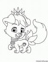 Coloring Pages Puppy Buddy Colorkid Pets sketch template