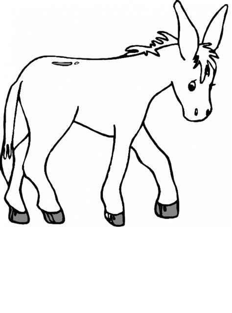 donkey  drawing  getdrawings