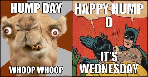85 Funny Hump Day Memes That Are Too Much To Bear Geeks