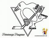 Nhl Hockey Pinguin Logos Sabres Buffalo Ausmalbilder Leafs Coyotes Sheets Penguins Coloringhome Pintar Malvorlagen Letzte sketch template