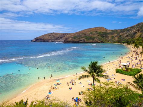 hanauma bay  oahu launches  reservation system hawaii magazine