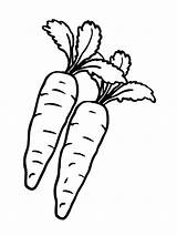 Carrot Coloring Pages Radish Vegetables Printable Nose Template Bunny Getcolorings Getdrawings sketch template