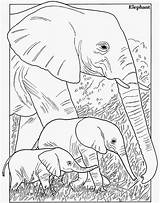 Coloring Animal Pages Elephant Alphabet Enormous Time Books Inkspiredmusings sketch template