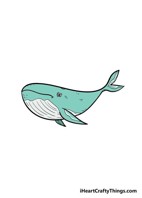 whale drawing   draw  whale step  step