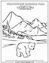 Coloring Yellowstone Park National Denali Pages Kids Printable Book Activity Bear Baby Parks Colouring Activities Cute Color Designlooter Drawings Vacation sketch template