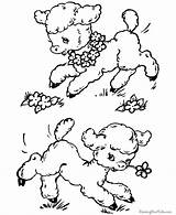 Coloring Pages Easter Lamb Lambs Book Cute Kids Printable Printing Help Template sketch template