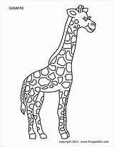 Giraffe Printables Firstpalette sketch template