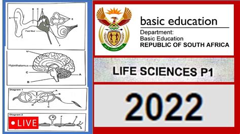 paper  life sciences grade  msaidi youtube