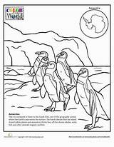 Antarctica Penguin sketch template